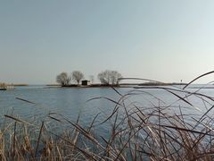 -苏州太湖湖滨国家湿地公园