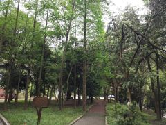 -九鲤湖风景区