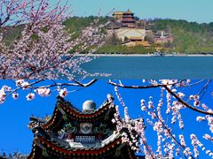 -颐和园