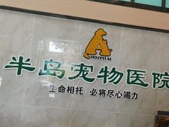 -半岛宠物医院24小时(科华中路店)
