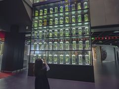-广东中医药博物馆