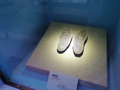 -陕西自然博物馆