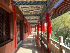 -开福禅寺