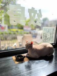 -京都墨客刺青