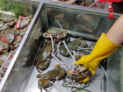 -都斛海鲜街