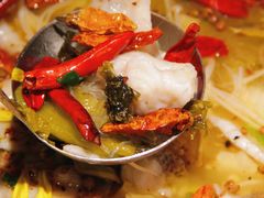 -太二酸菜鱼(石家庄万象城店)