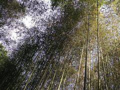 -竹泉村旅游度假区
