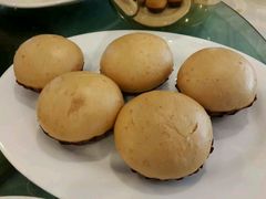 -金龙寨(龙城路店)