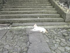 -鼓楼(西湖风景名胜区)