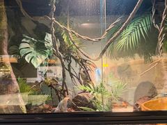 -朵云书院(滴水湖店)