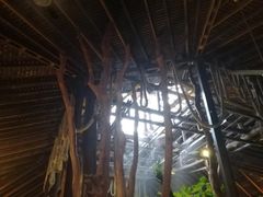 -绿光森林餐厅