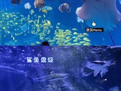 -太平洋海底世界