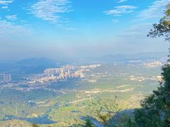 -黄埔油麻山森林公园