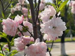 -福州大学(旗山校区)