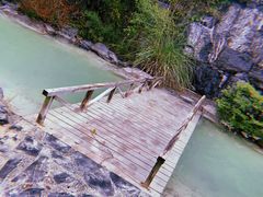 -吴淞炮台湾湿地森林公园烧烤区