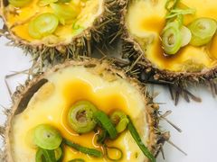 -海胆小馆(东北水饺·春柳店)