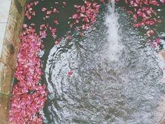 -北京美神宫艺术主题温泉酒店