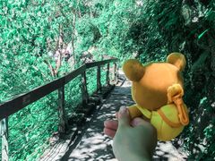 -太鲁阁公园