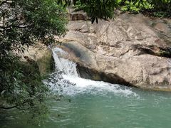 -广州白江湖森林公园