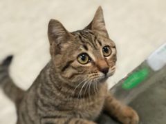 -木萨火锅店(开鲁路店)