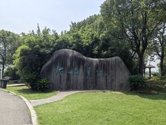-荷塘月色湿地公园·向阳花洲