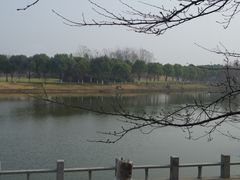 -中华赏石园