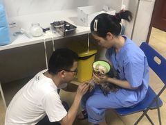 -宠颐生贝利健动物医院(谢家湾分院)
