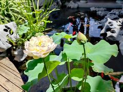 -道南書院·私房菜·早午茶·茶馆