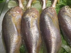 -金苑海鲜酒家(来魅力店)