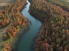 -合肥滨湖国家森林公园