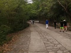 -紫金山山顶公园