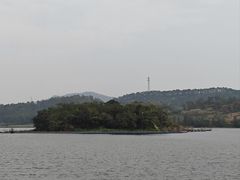 -美的鹭湖森林度假区