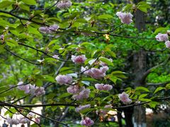 -天鹅湖体育公园