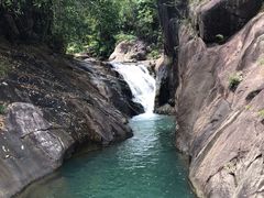 -广州白江湖森林公园