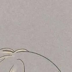 -凡碧诗毛孔收细