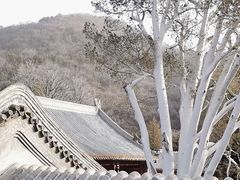 -潭柘寺景区