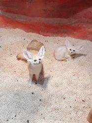 -Zoolung Zoolung动物主题公园(海信广场店)