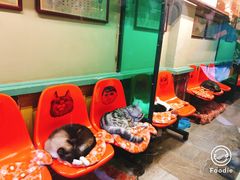 -猫咪博物馆(顶澳仔猫街店)