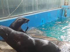 -成都浩海立方海洋公园