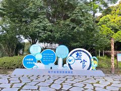 -观潮胜地公园