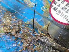 -徐记海鲜(大雁塔|金都店)