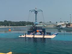 -秦皇岛乐岛海洋王国