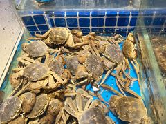 -加餐海鲜自助(集美银泰百货店)