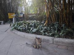 -晓港公园