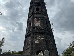 -上海佘山国家森林公园天马山园