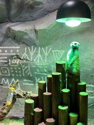 -Zoolung Zoolung动物主题公园(海信广场店)