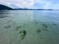 -三亚太阳湾柏悦酒店
