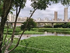 -武汉动物园
