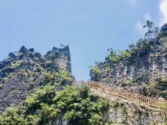 -武陵山森林公园