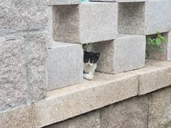 -崂山九水游览区